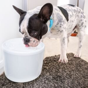 Bebedero Inteligente para mascotas