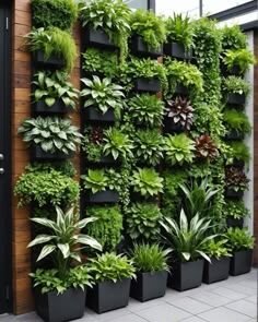 Jardin vertical basico