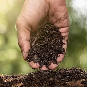 Kit de Cuidado “Esencial”