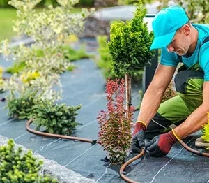 Diagnóstico Profesional